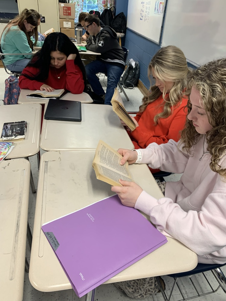ELA reading “The Outsiders"