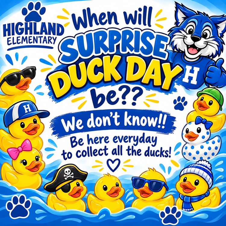 ducks