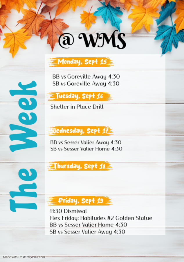 Week 6