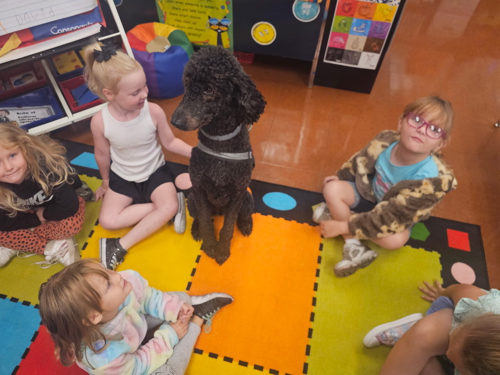 Mr. Kee and River visit kindergarten