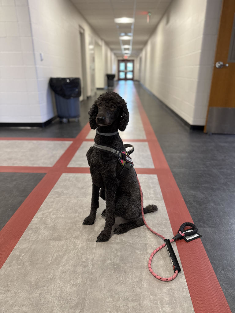Mr. Kee and River visit kindergarten