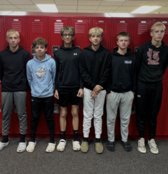 coal belt all conference wms baseball pic