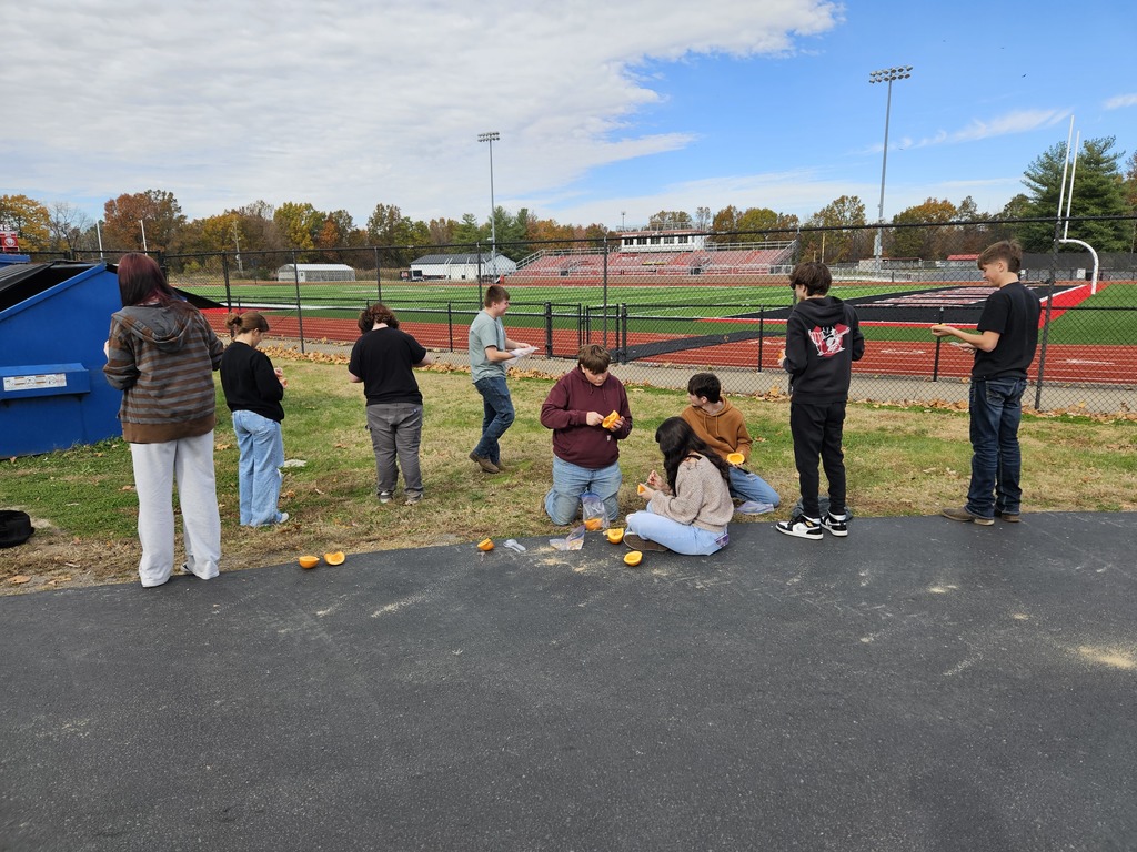 pumpkin pie in a bag lesson 2025