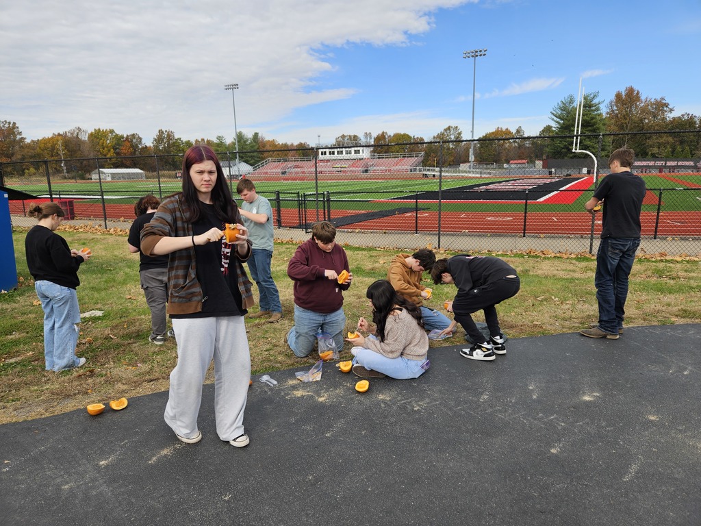 pumpkin pie in a bag lesson 2025