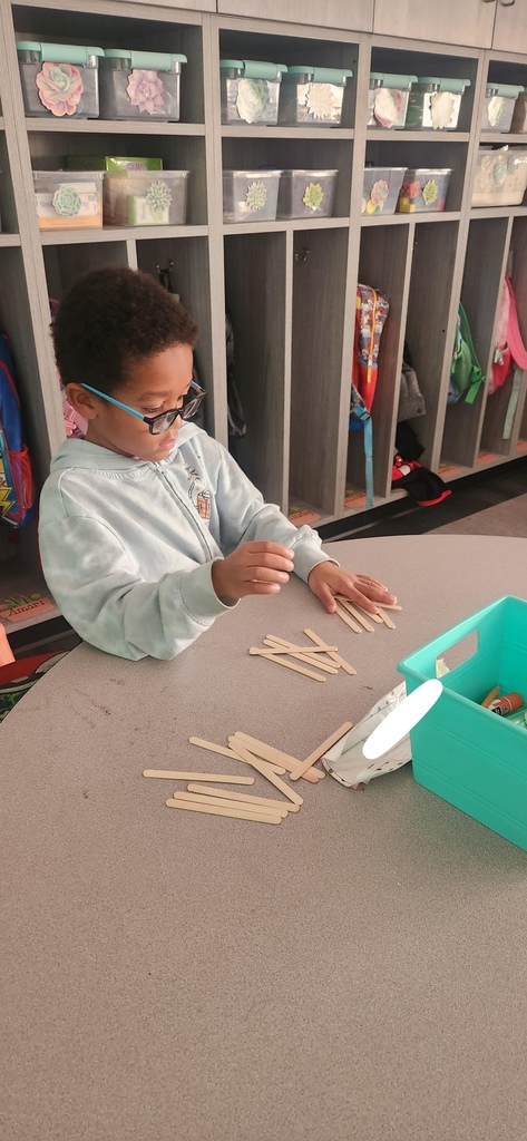 Mrs. Cheers' class uses geo boards