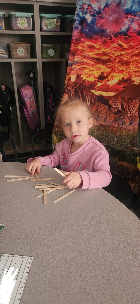 Mrs. Cheers' class uses geo boards