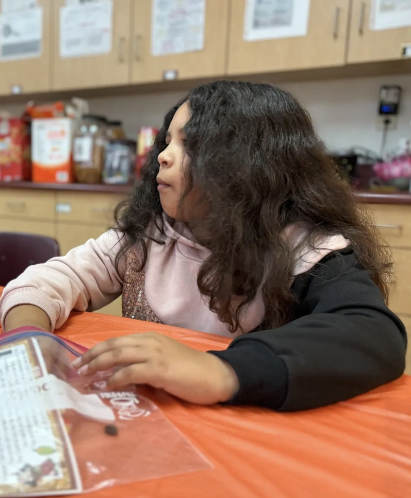 Lincoln Thanksgiving dinner table manners activity
