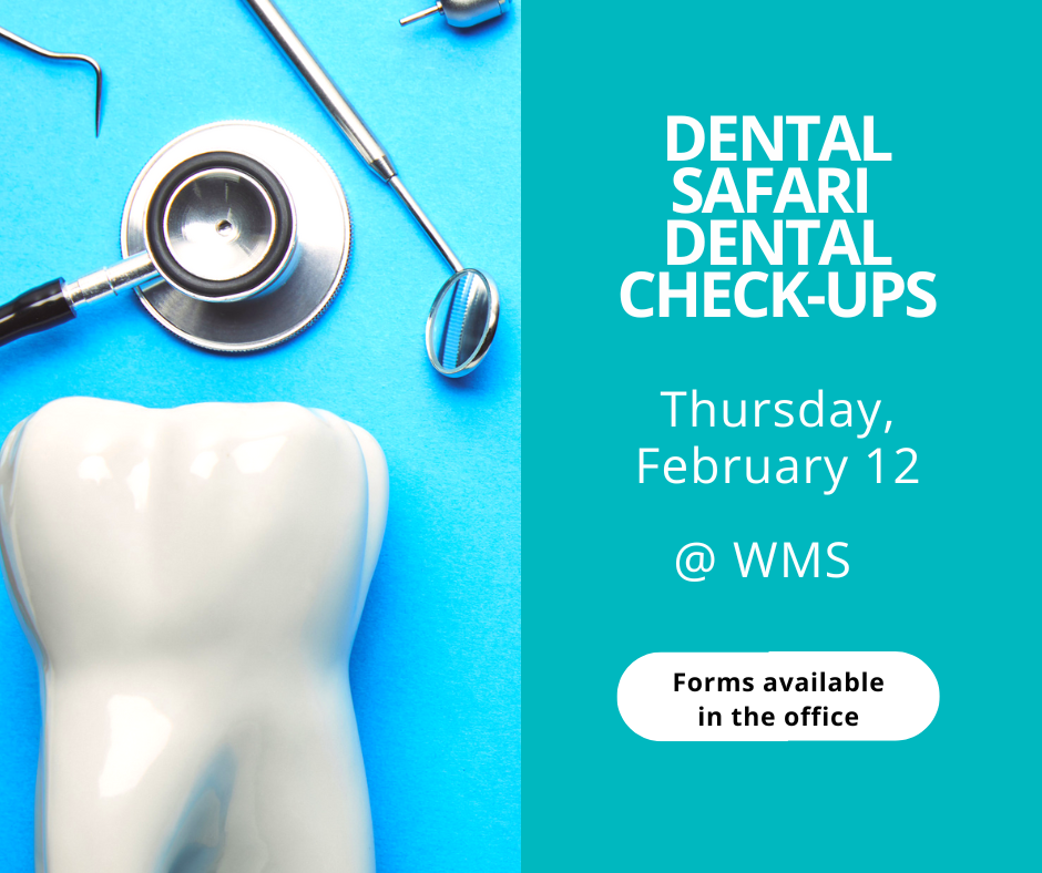 tooth and dental tools on a blue-green background