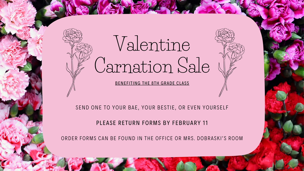 valentine carnation sale info on a pink floral background