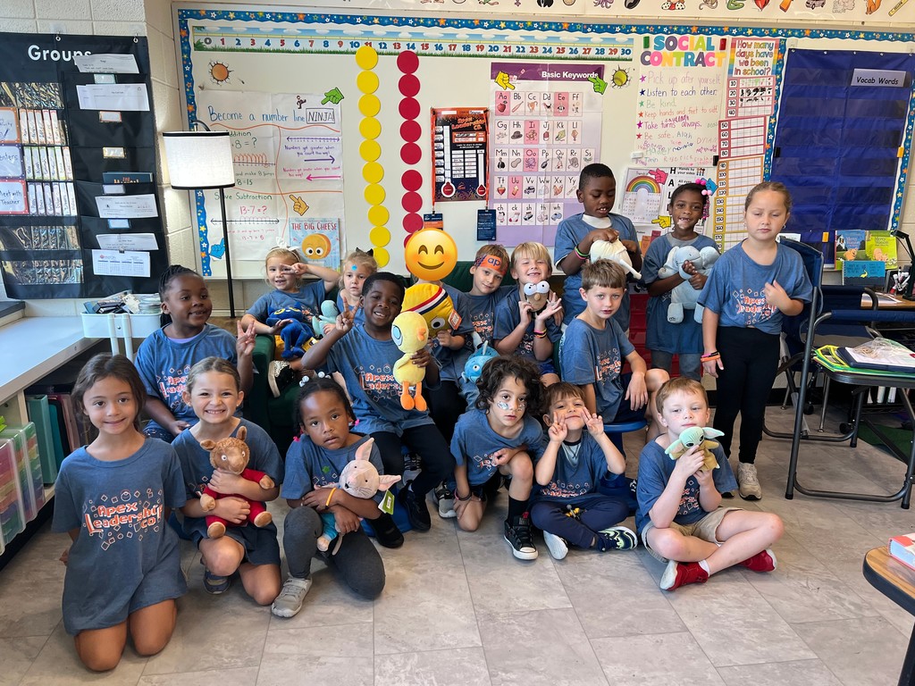 Bergman class
