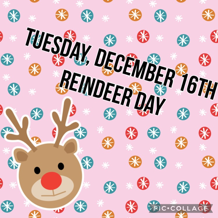 reindeer day Tuesday