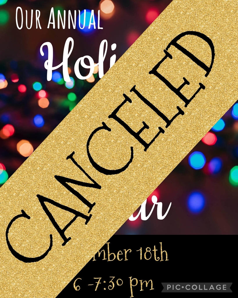 Holiday Lights Tour Canceled