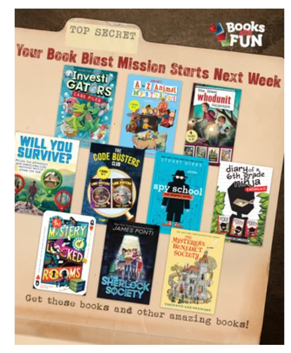 Books are fun preview