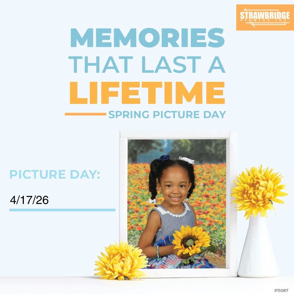 Spring Picture Information