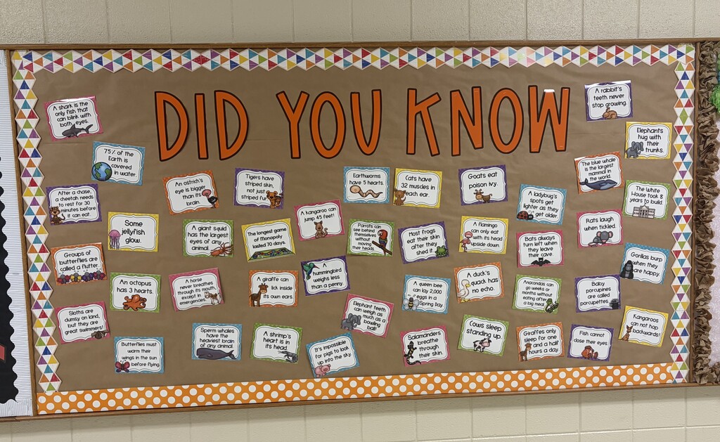 Bulletin board