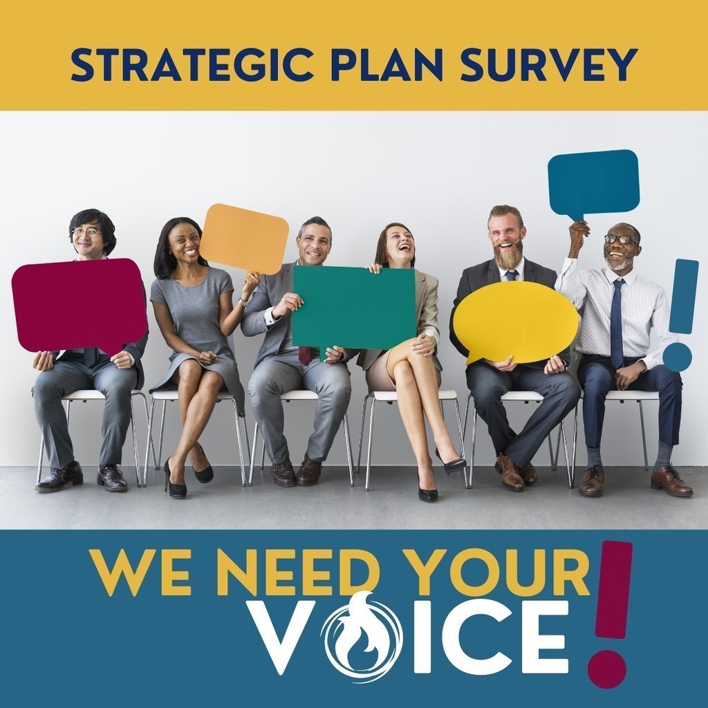 strategic plan questionnaire