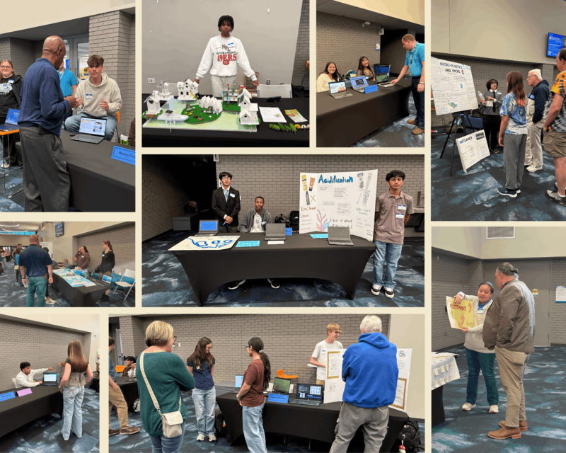 Spring Student Showcase Collage