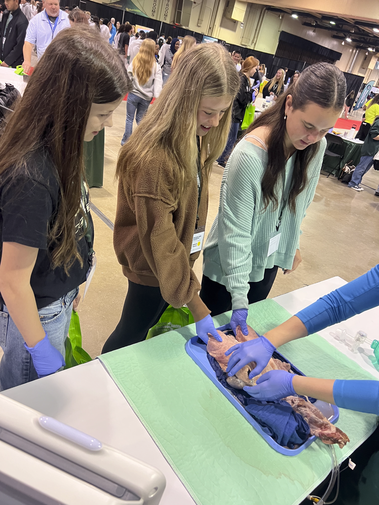 students at career fair