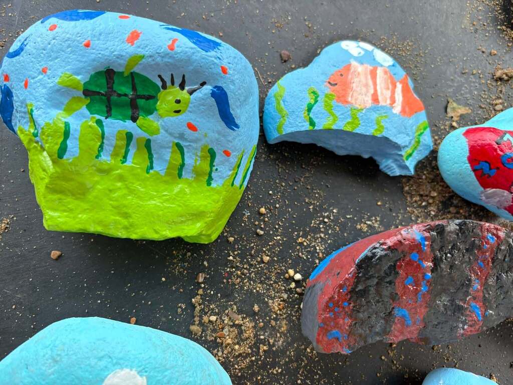 pces rock garden