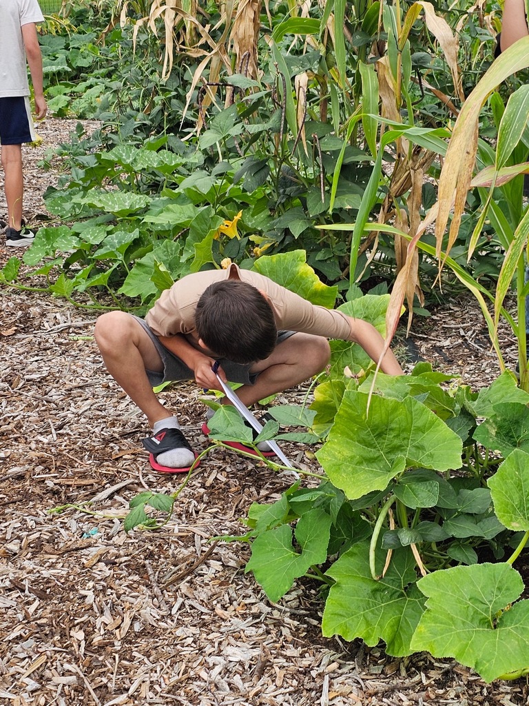 Growing Hope program