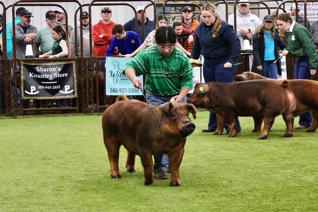 Southeast Rgional Junior Livestock Show