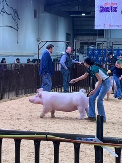 Oklahoma Youth Expo (OYE)