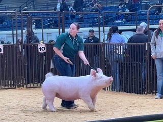 Oklahoma Youth Expo (OYE)