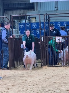 Oklahoma Youth Expo (OYE)