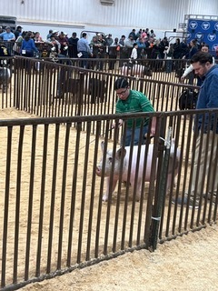 Oklahoma Youth Expo (OYE)