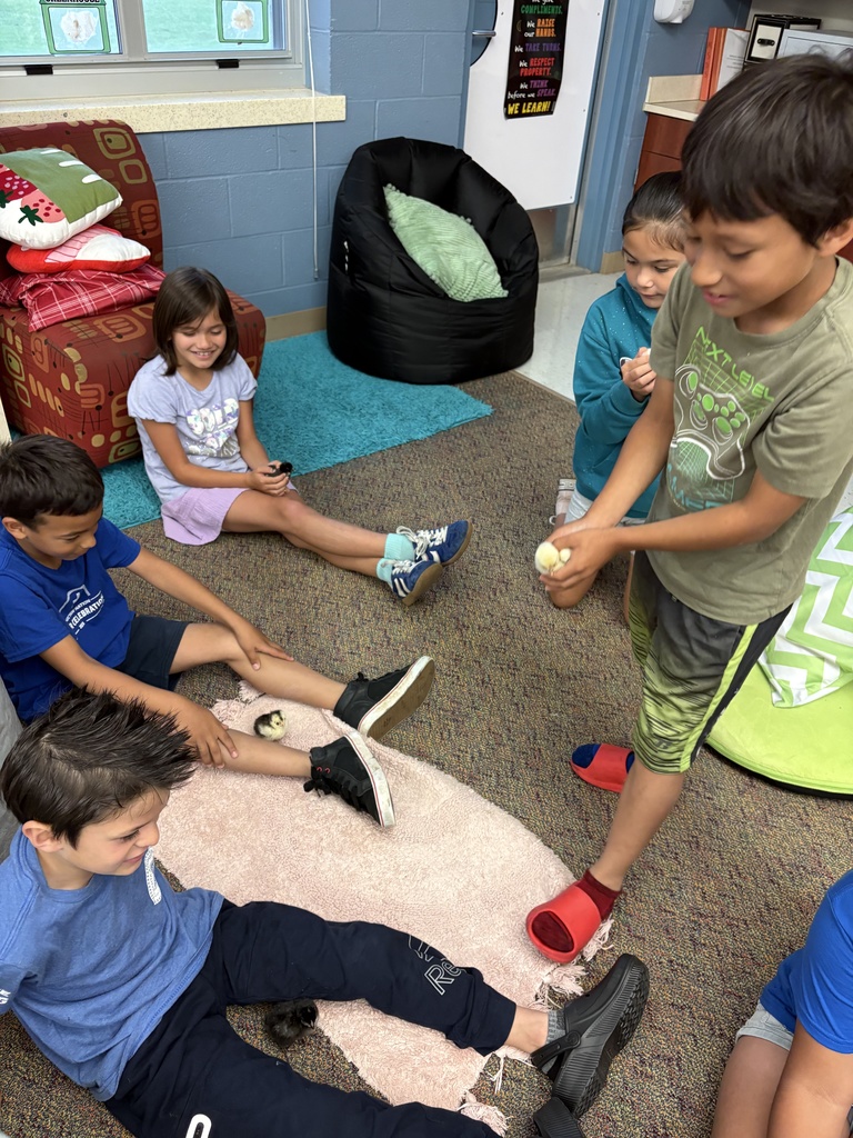 2nd Grade hatched eggs