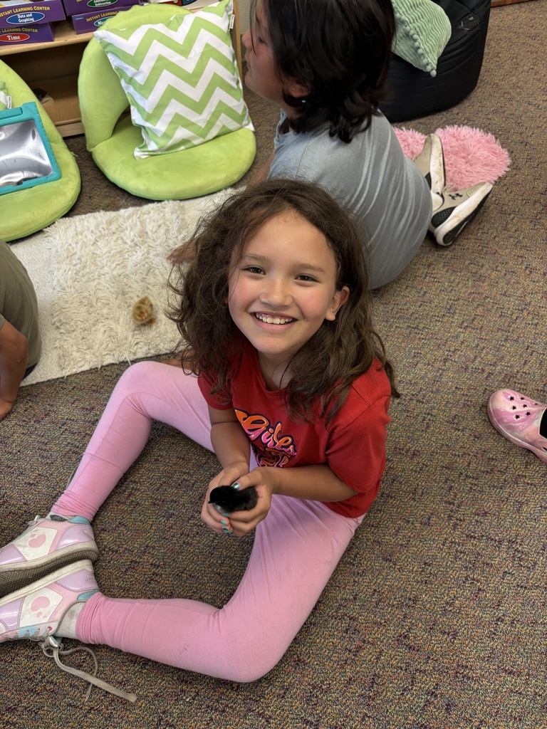 2nd Grade hatched eggs