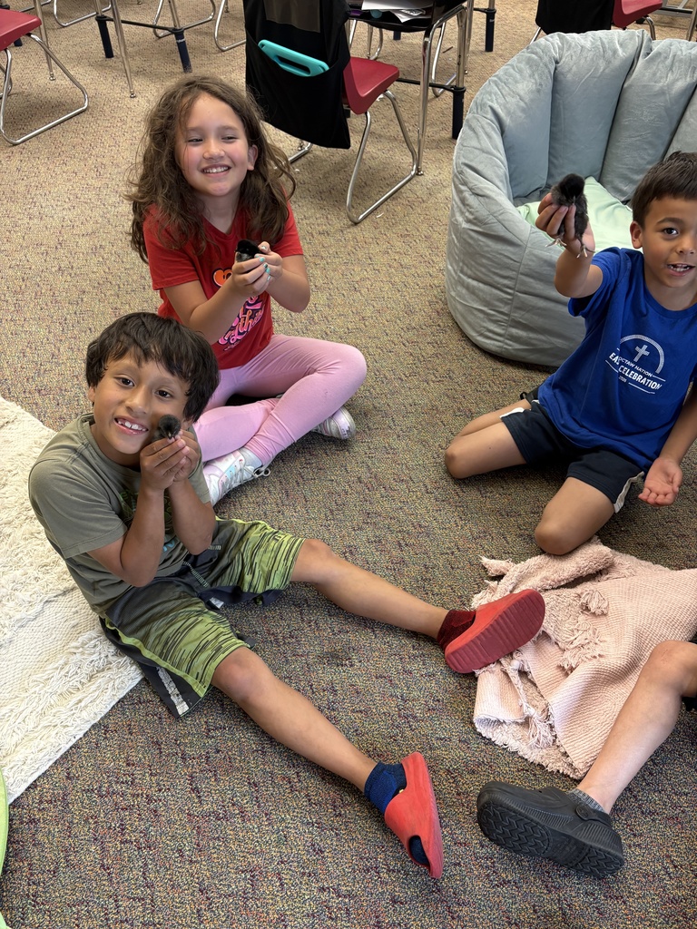 2nd Grade hatched eggs