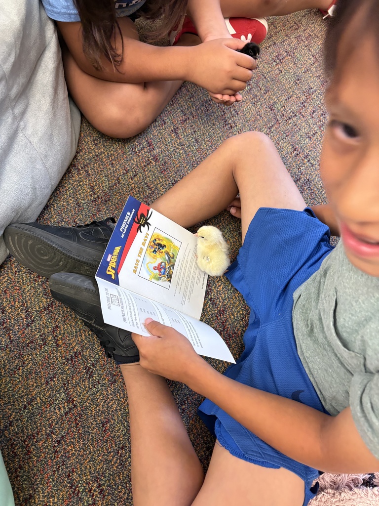 2nd Grade hatched eggs