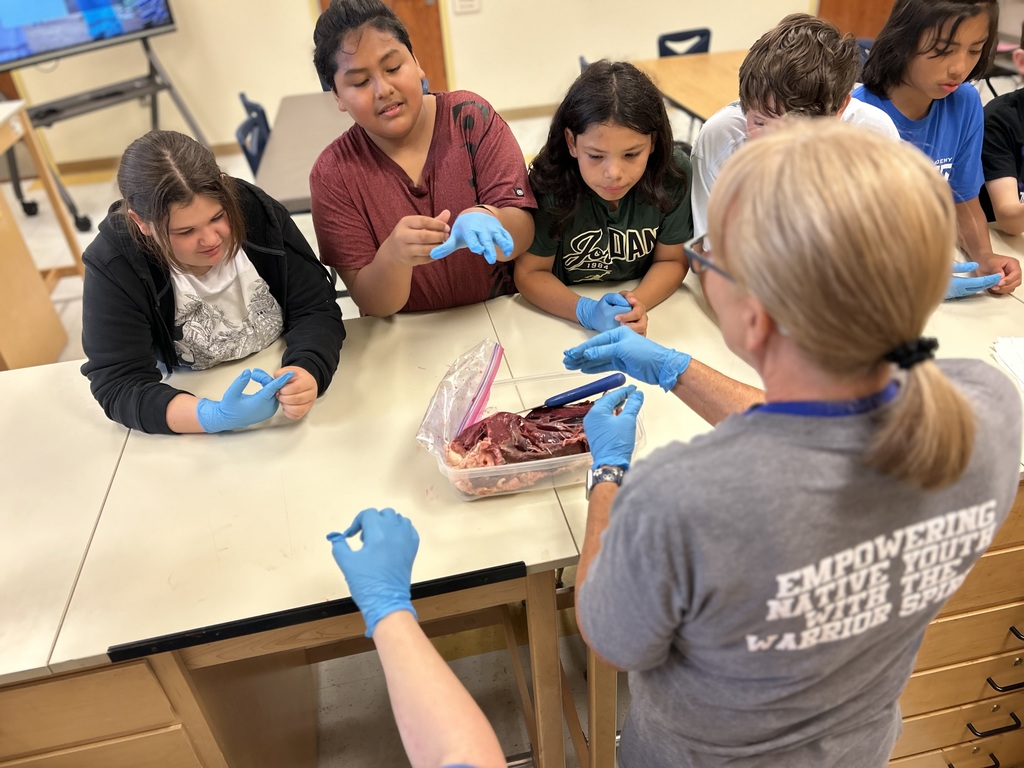 6th Grade Cow Heart Dissection