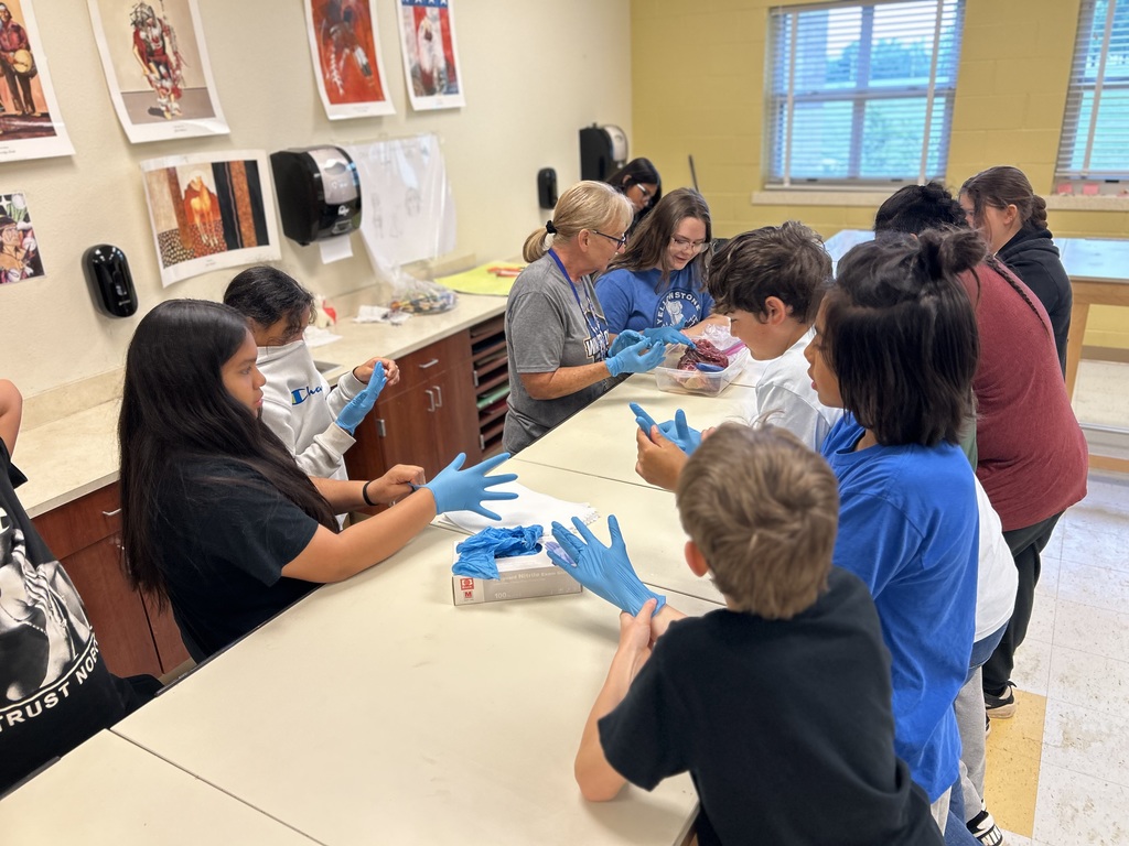 6th Grade Cow Heart Dissection