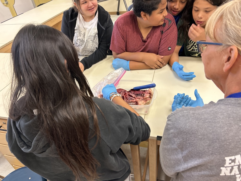 6th Grade Cow Heart Dissection
