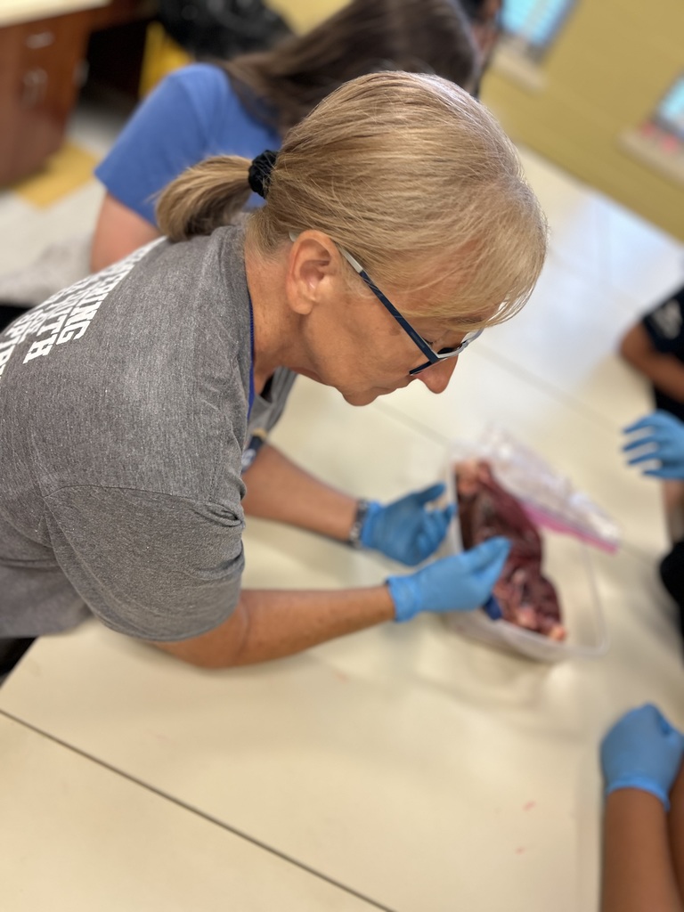 6th Grade Cow Heart Dissection
