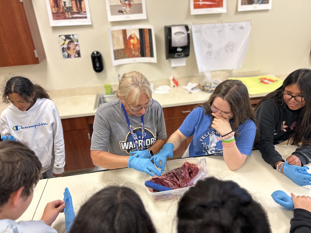 6th Grade Cow Heart Dissection