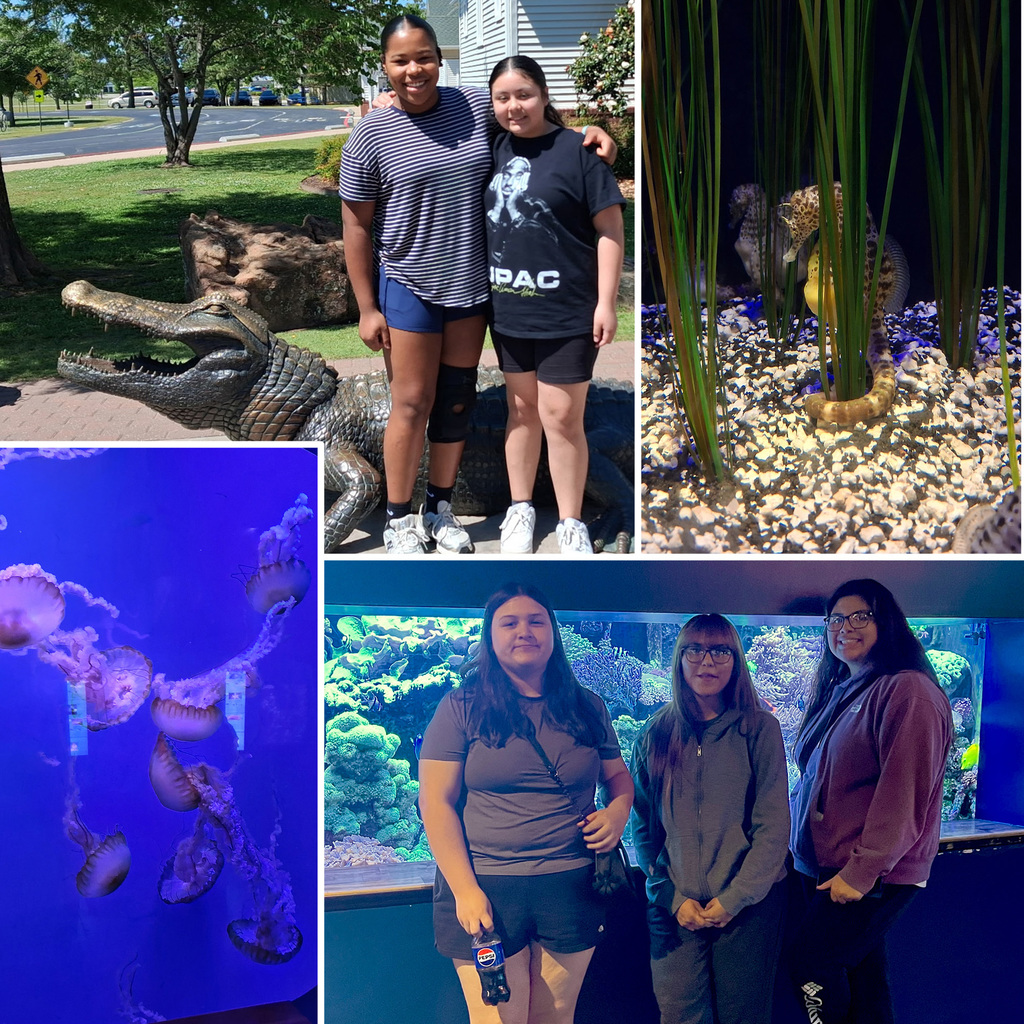 Girls Dorm OK Aquarium