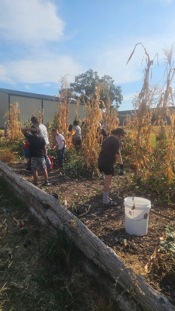 Harvest Day