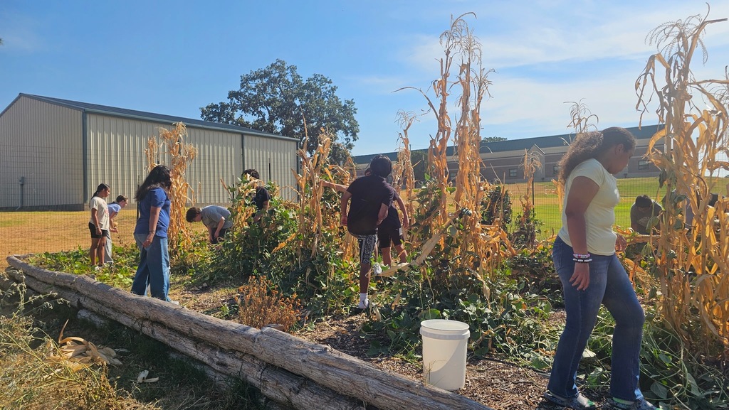 Harvest Day