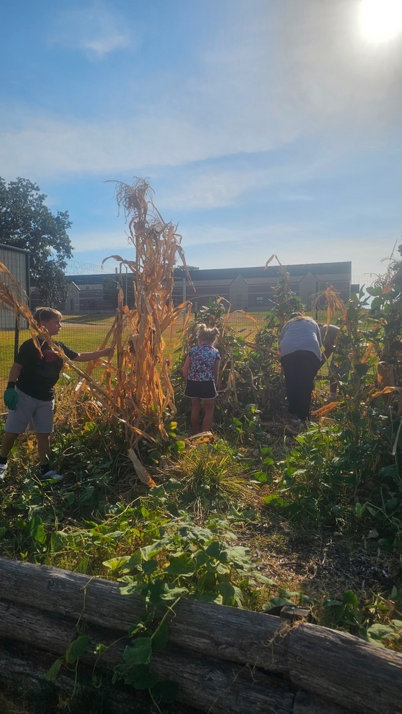 Harvest Day