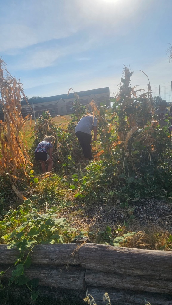 Harvest Day