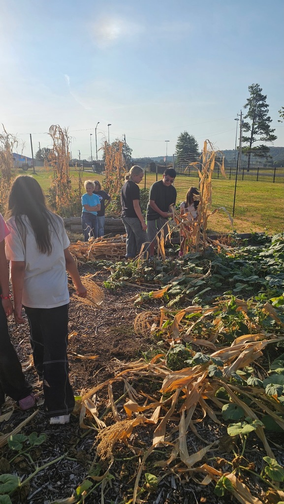 Harvest Day
