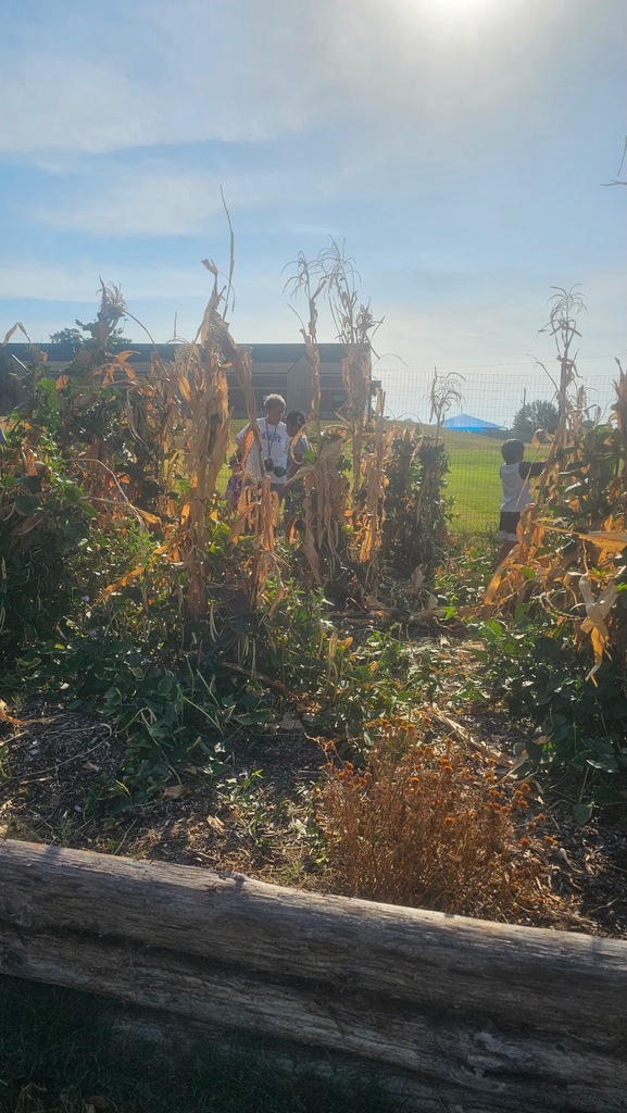 Harvest Day