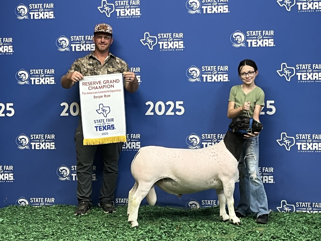 Saydee Goat