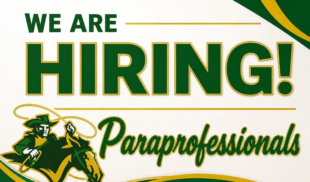 PARAPROFESSIONALS