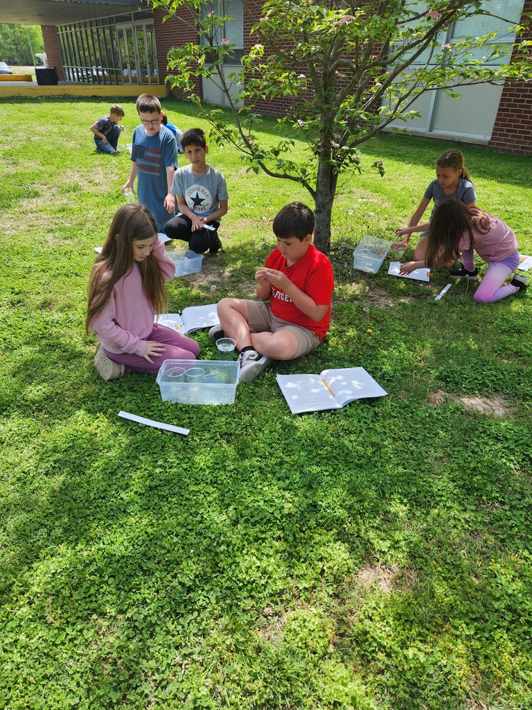 group