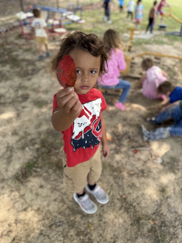 We found a red leaf!  