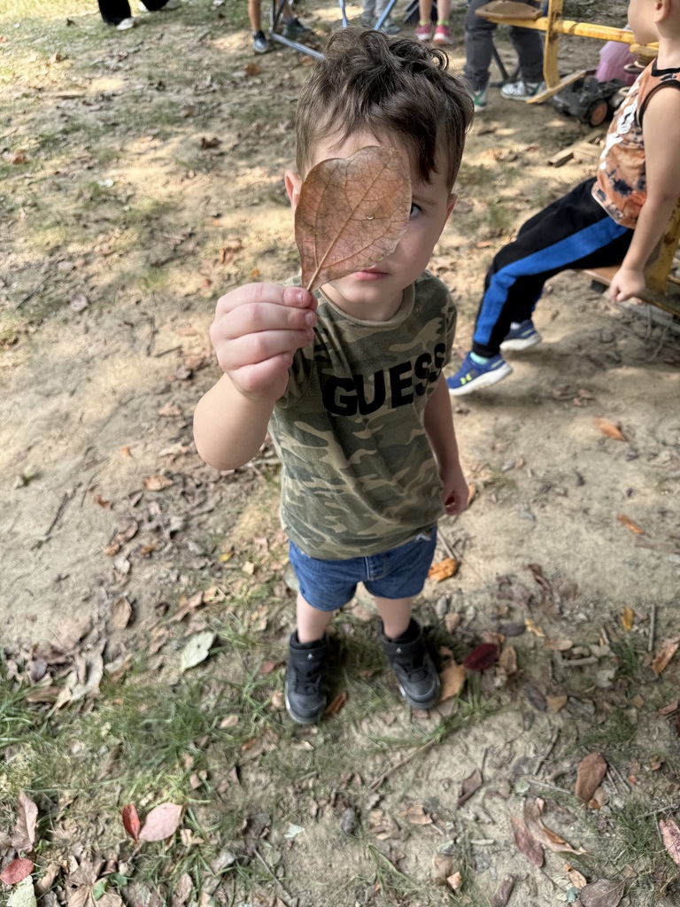 Pre-k  enjoyed exploring leaves on the playground today and finding the first signs of fall with their various colors!